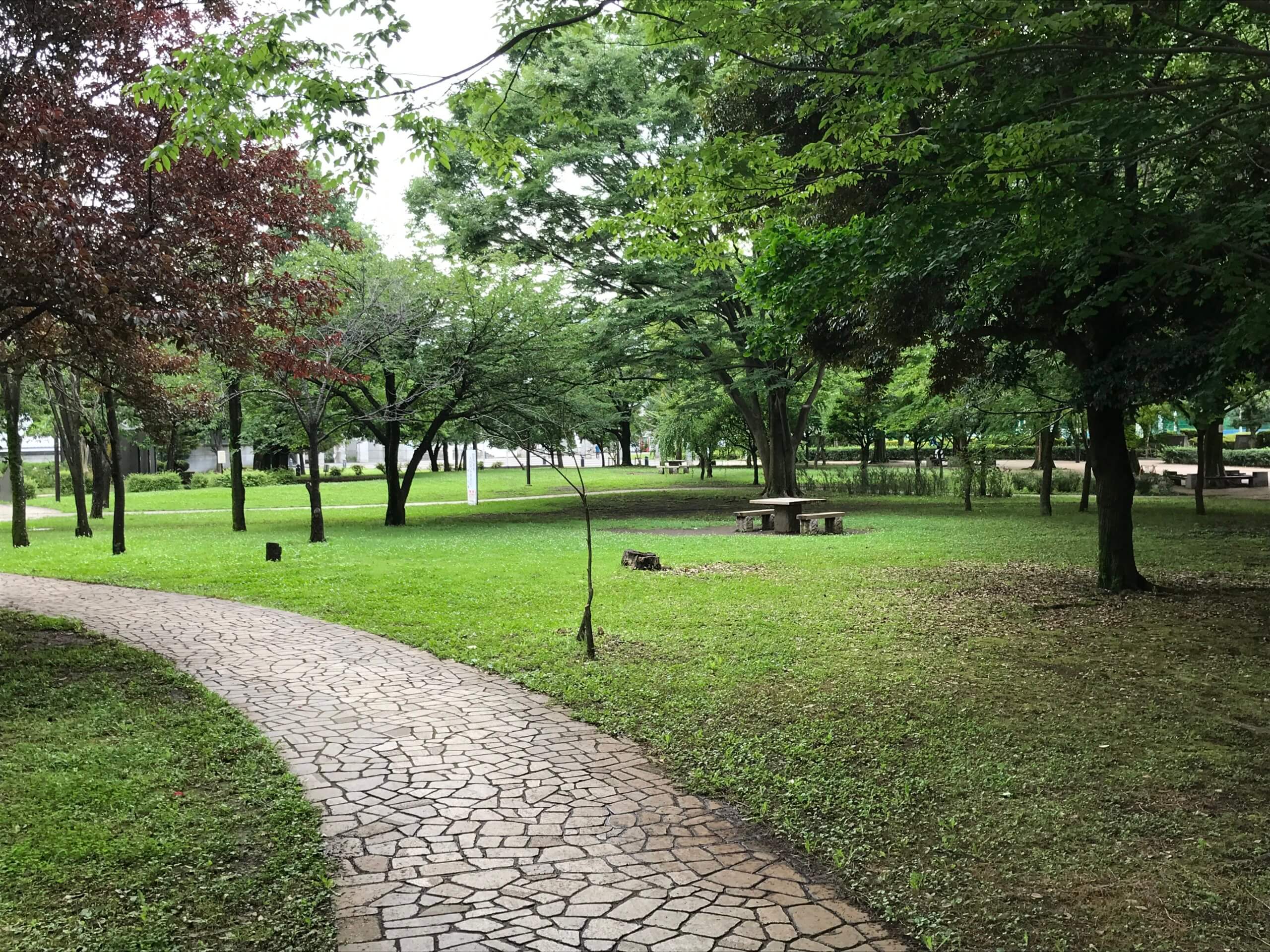 横山公園の小道