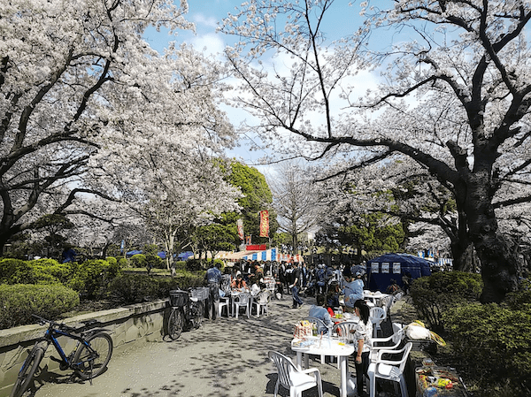 いっぱい遊べる 相模原市内でアスレチックや遊具のある大きめな公園まとめ ココさがみ