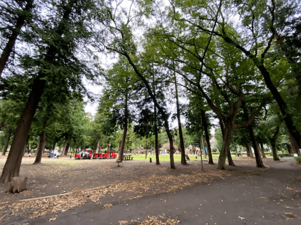 相模原市内にある淵野辺公園のアスレチック・遊具の写真です。