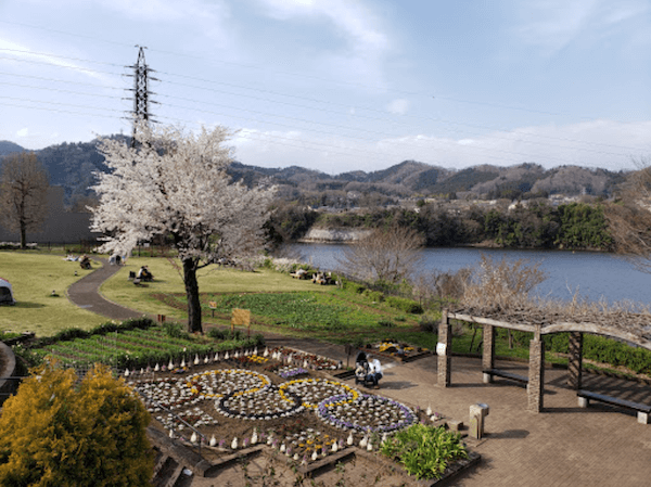 相模原市内にある津久井城山公園の園内風景です。