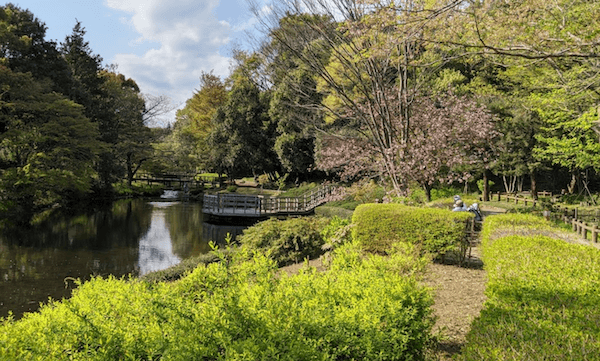 相模原市内にある道保川公園の園内風景です。