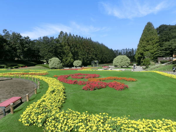 県立相模原公園の園内の写真です。